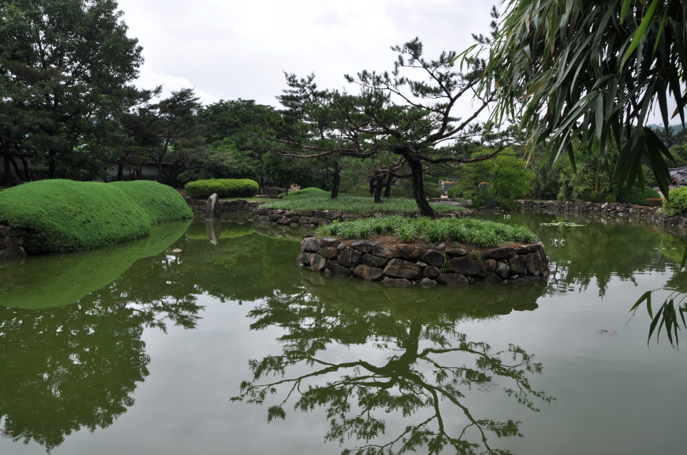 0DSC_0205.JPG