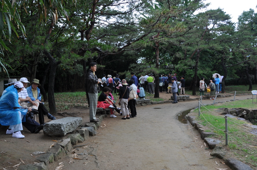 0DSC_0206.JPG