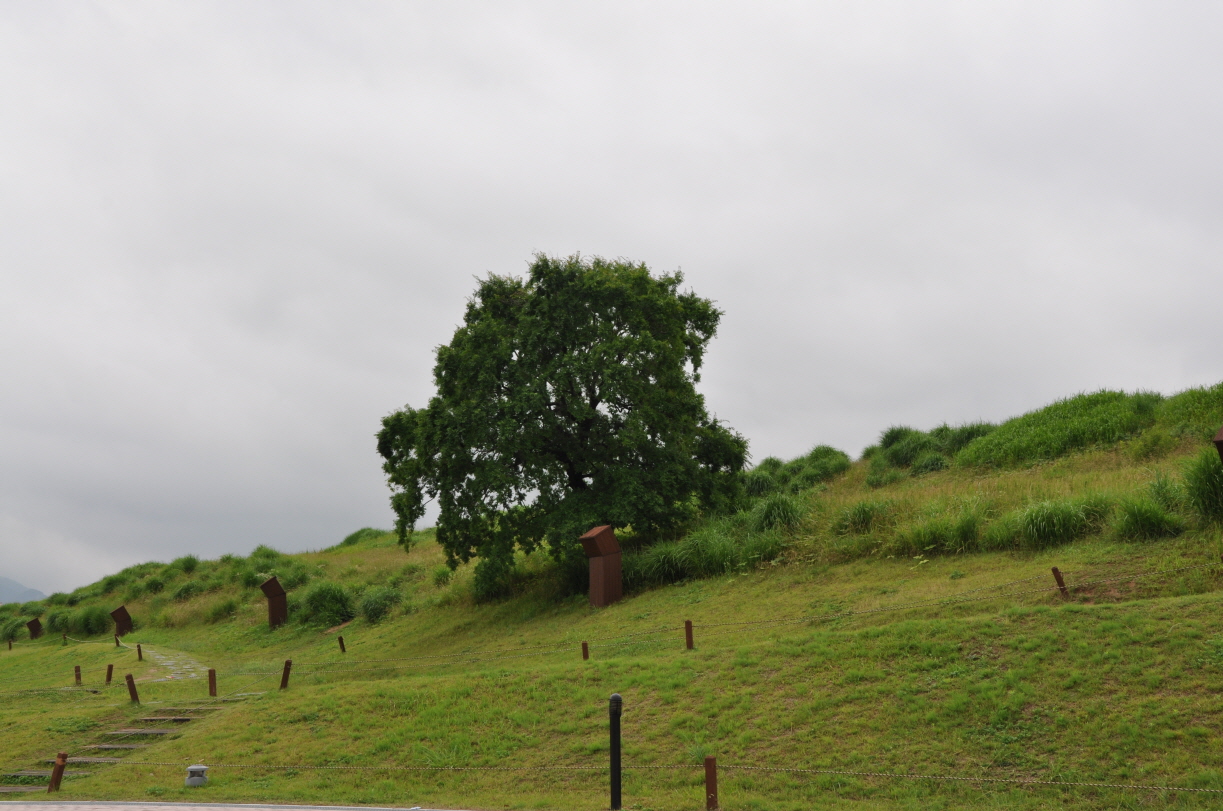 0DSC_0209.JPG