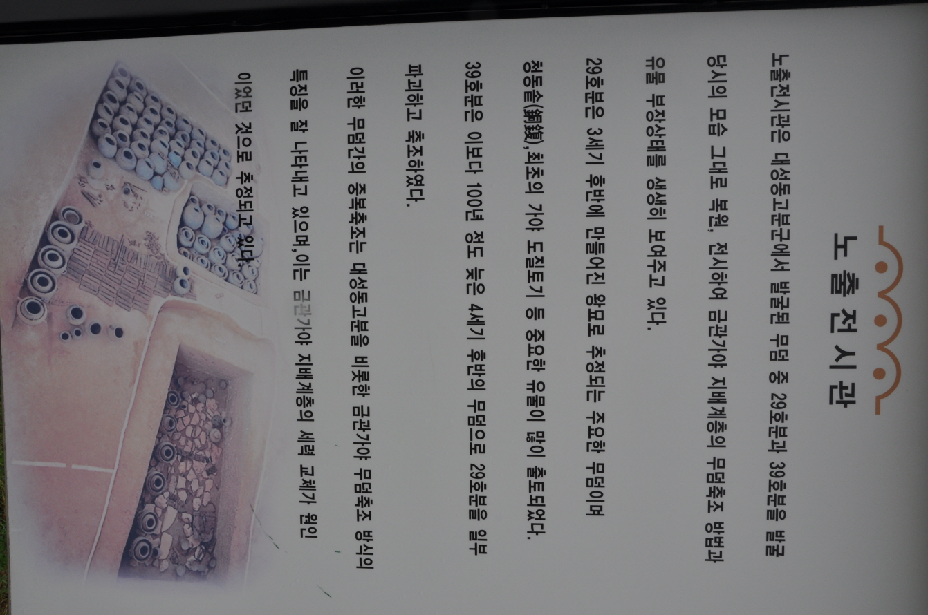 0DSC_0226.JPG