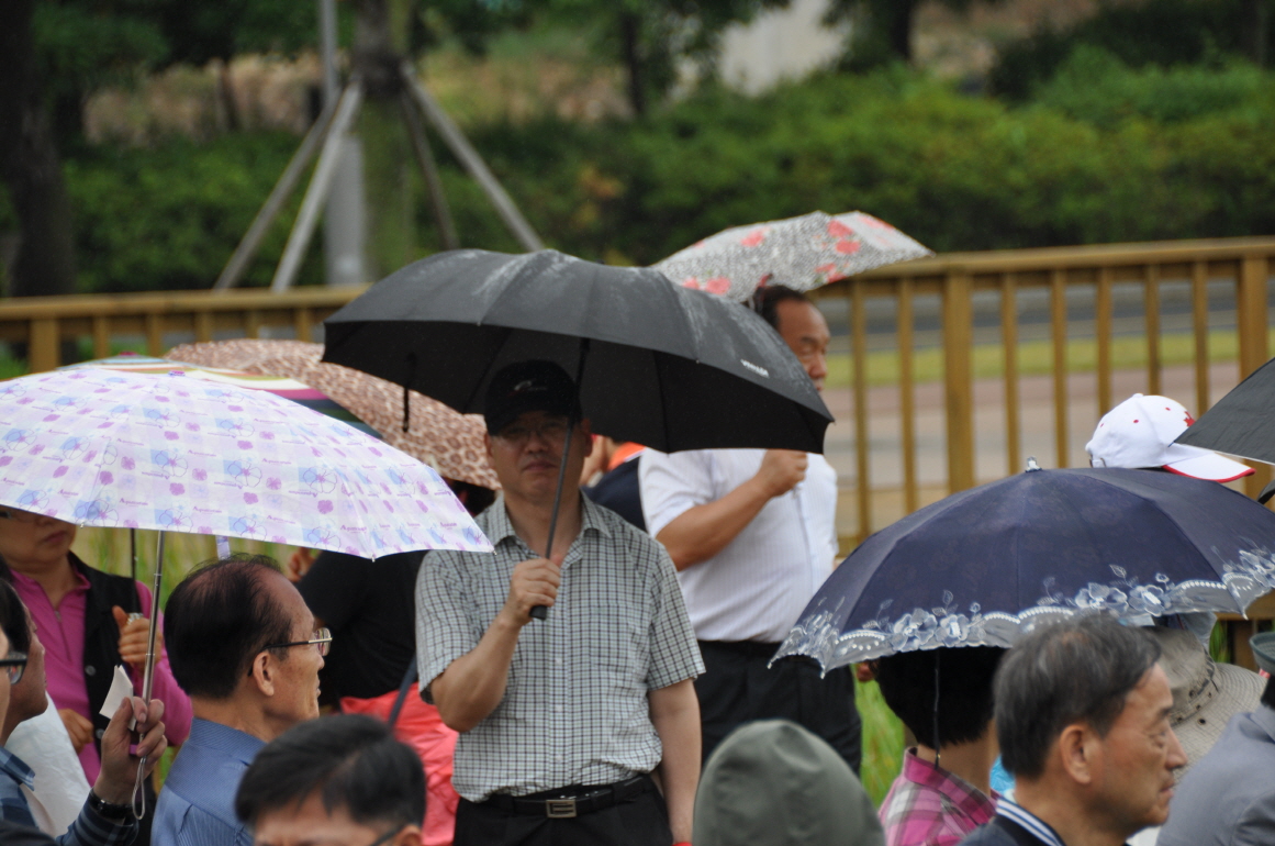 0DSC_0236.JPG