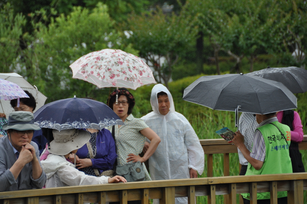 0DSC_0243.JPG