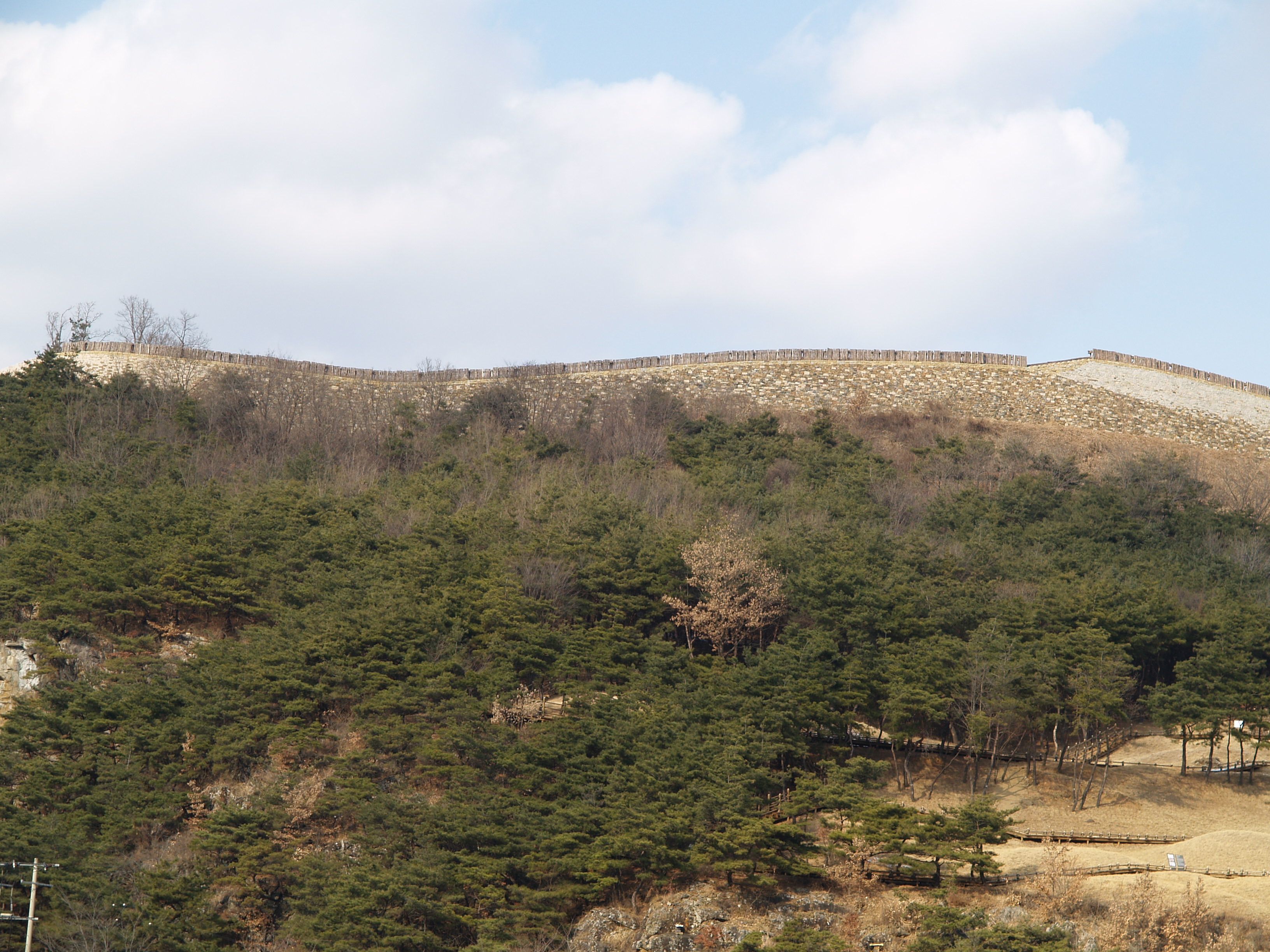 P1011687.JPG