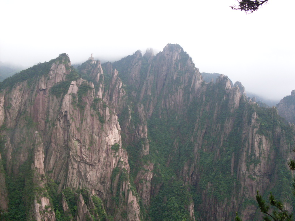 SDC13288.JPG