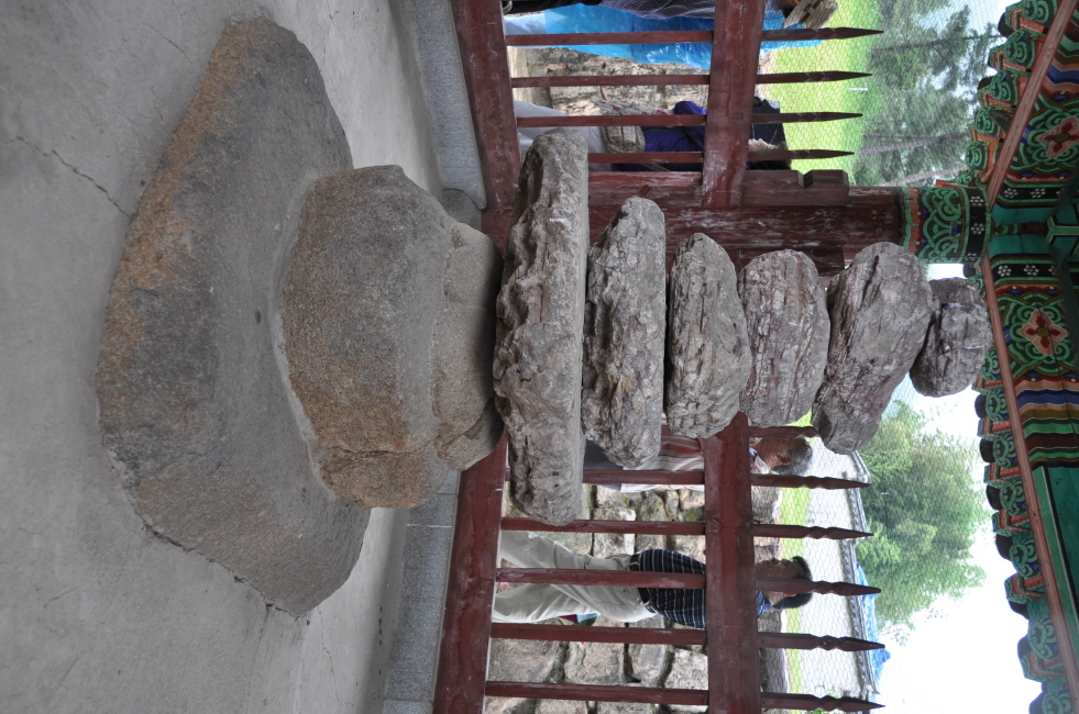 0DSC_0132.JPG