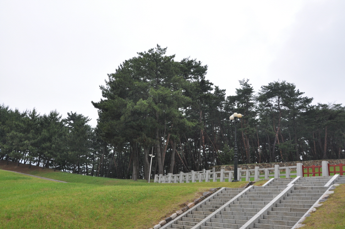 0DSC_0139.JPG